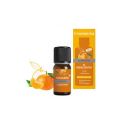 Pranarom Difusion El Reencuentro