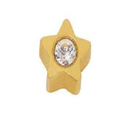 Pendientes Inverness 24C 24K Estr.Dor Nat